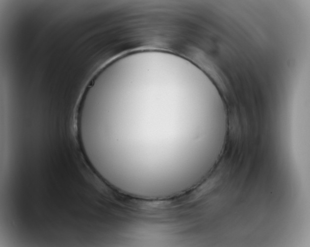 X0000089851292200707121711