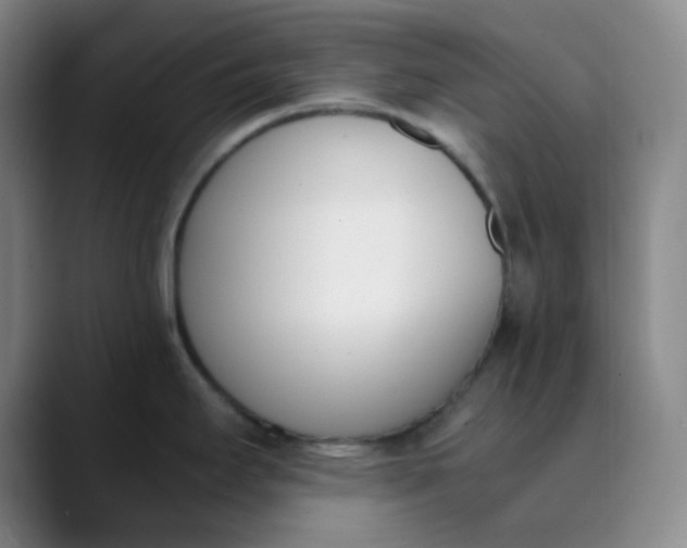X0000089851295200707121711