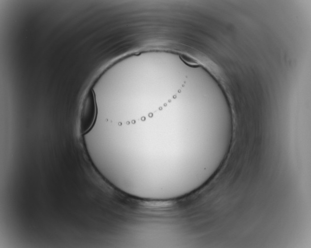 X0000089851296200707121711