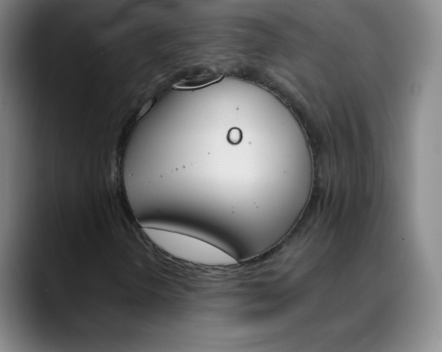 X0000089851298200707121710