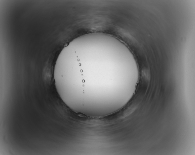 X0000089851300200707121710