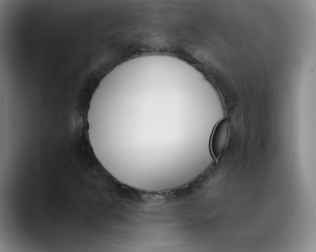 X0000089851302200707121710