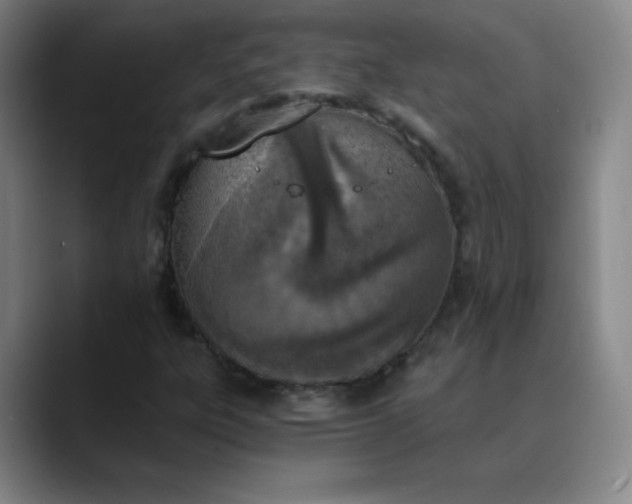 X0000089851303200707121710