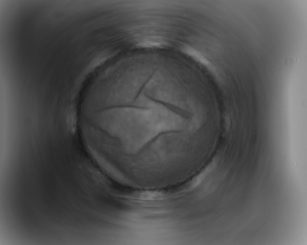 X0000089851306200707121710