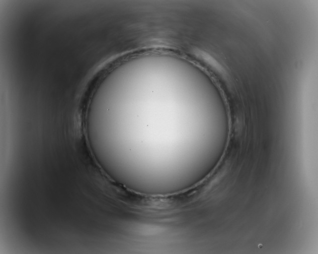 X0000089851310200707121710