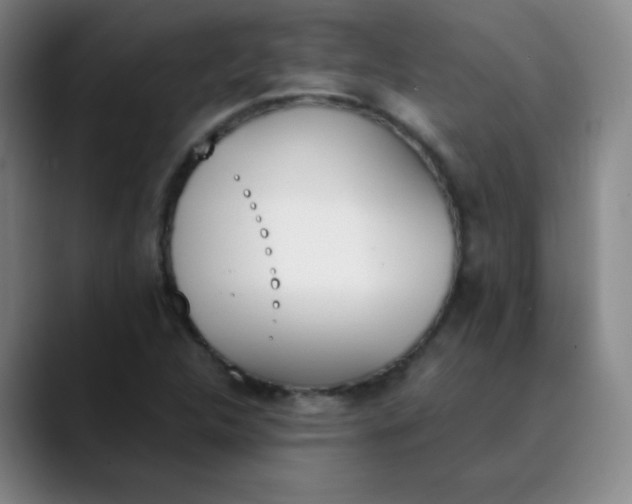 X0000089851312200707121710