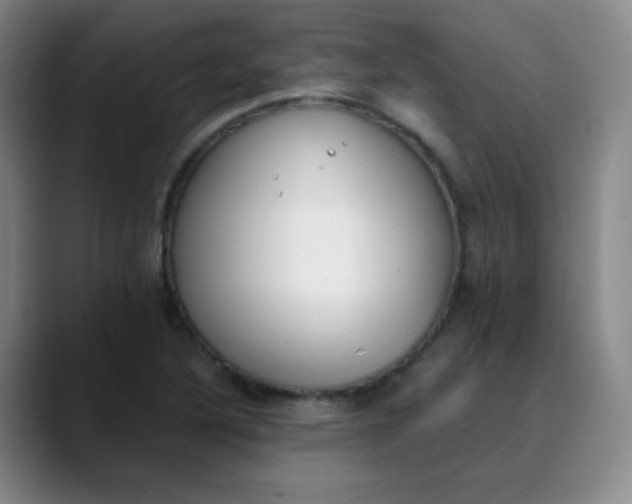 X0000089851316200707121710