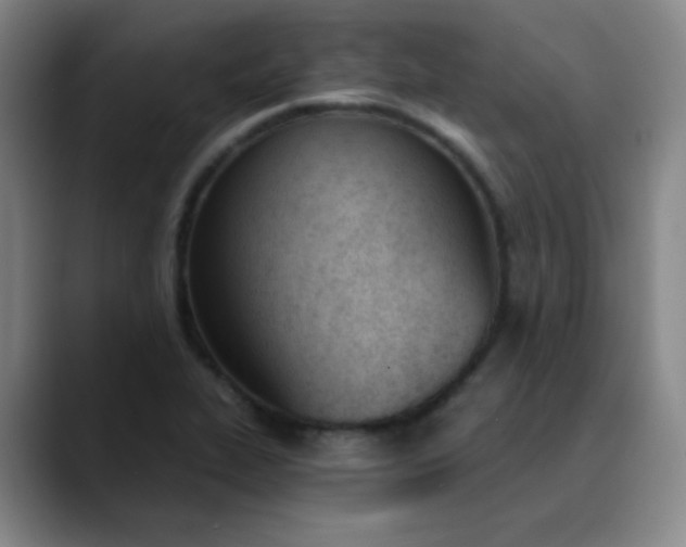 X0000089851319200707121710