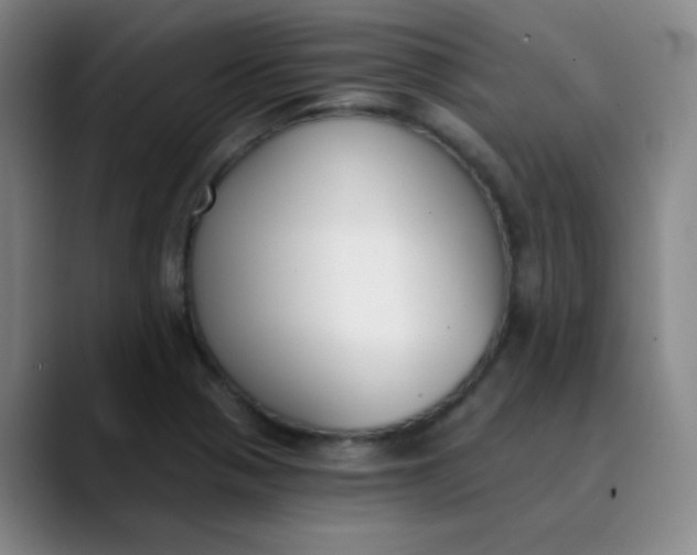 X0000089851321200707121711