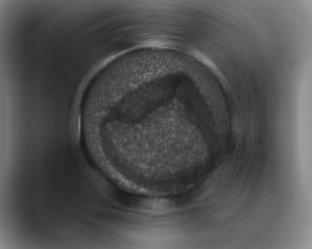 X0000089851323200707121711