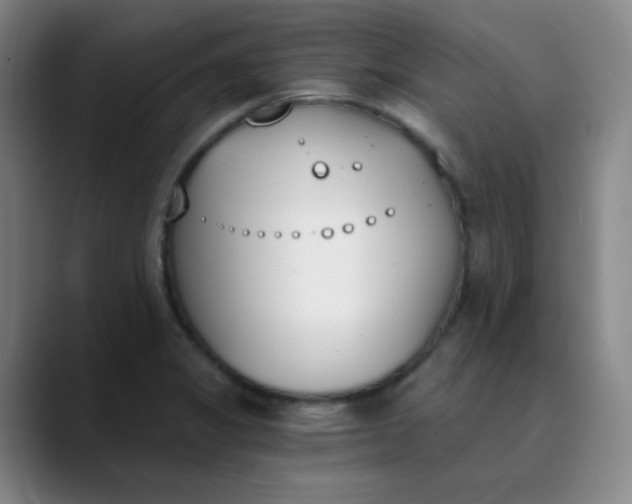 X0000089851325200707121711