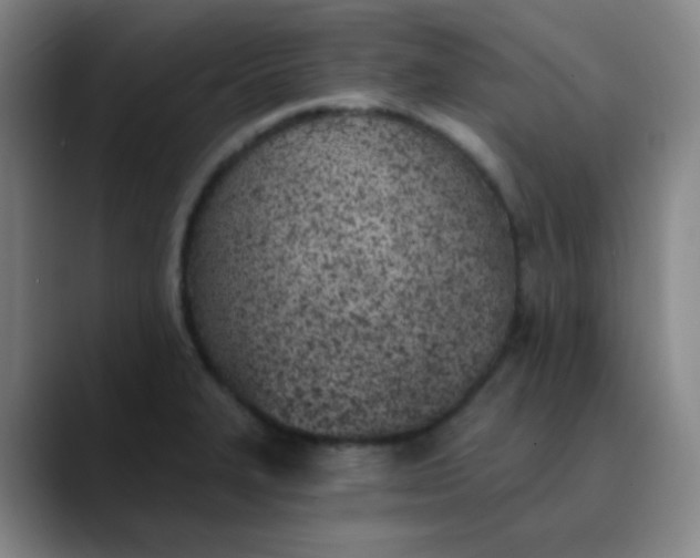 X0000089851327200707121711