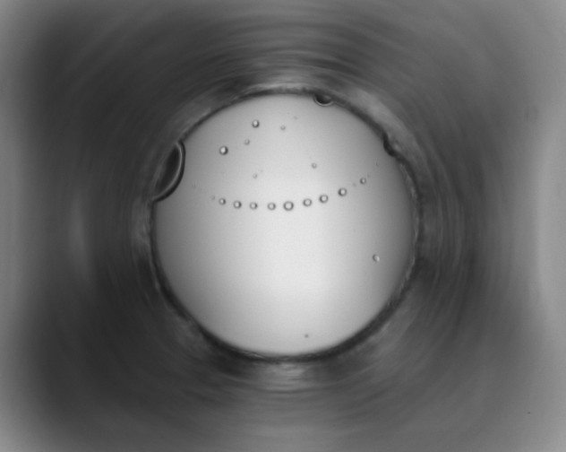 X0000089851329200707121711