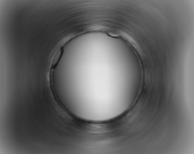 X0000089851330200707121711