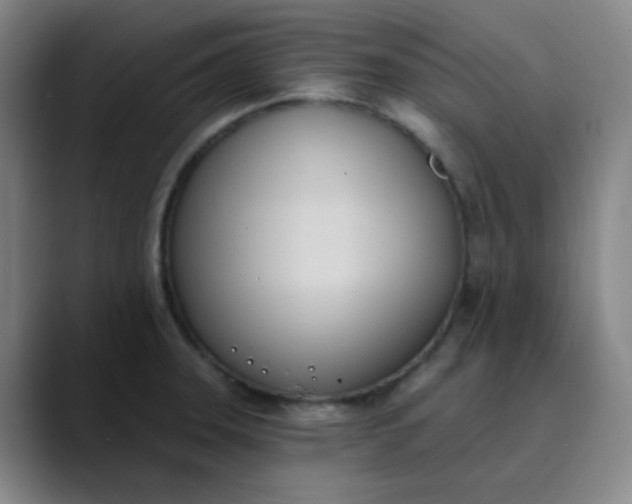 X0000089851331200707121711