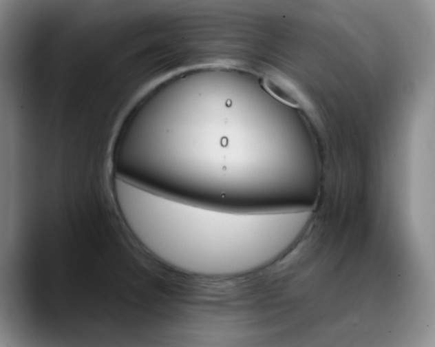 X0000089851332200707121711