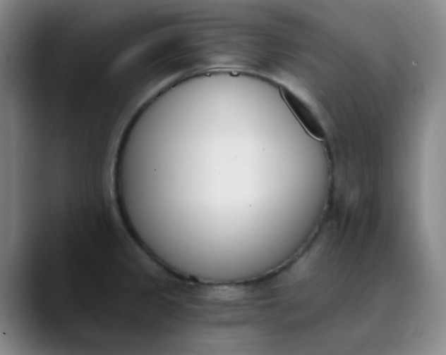 X0000089851333200707121711