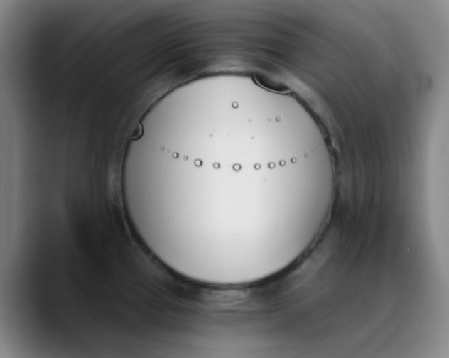 X0000089851337200707121711