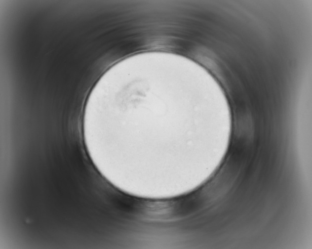 X0000089851338200707121711