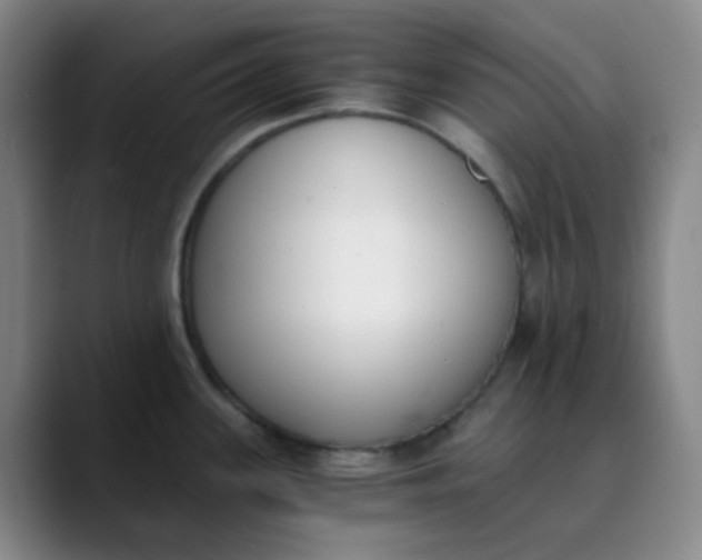 X0000089851339200707121711