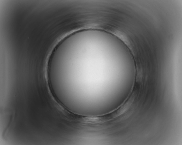 X0000089851342200707121711