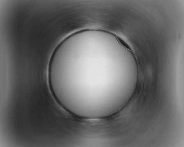 X0000089851343200707121711