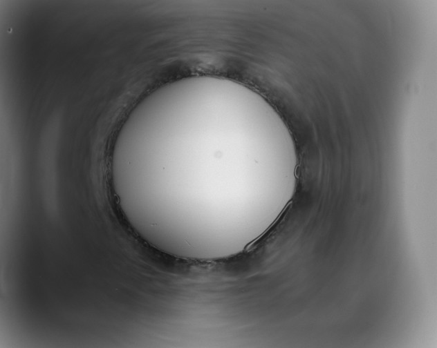 X0000089851345200707121710