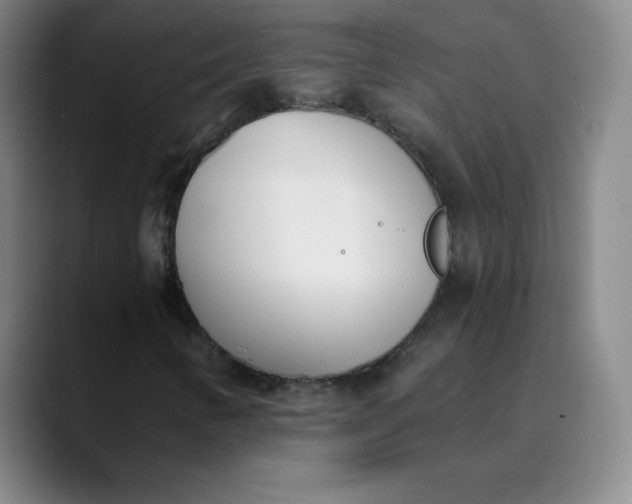X0000089851346200707121710