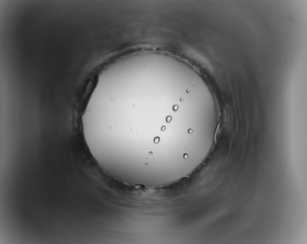 X0000089851352200707121710