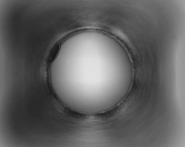 X0000089851360200707121710