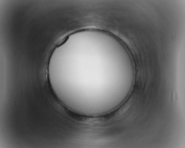 X0000089851367200707121710