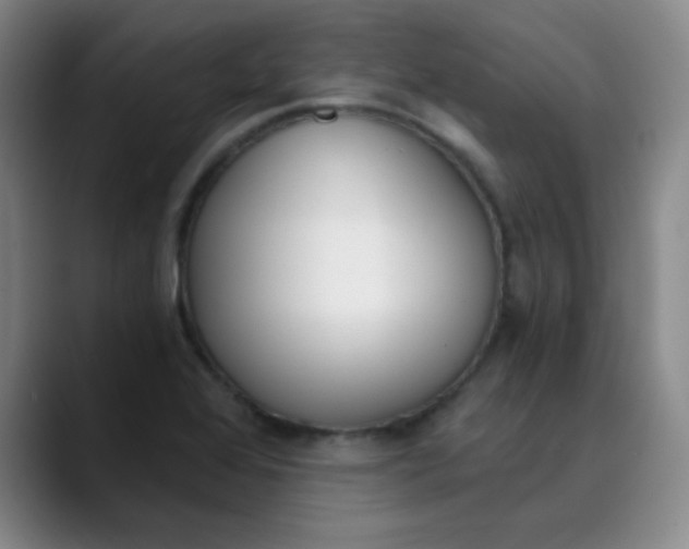 X0000089851368200707121710