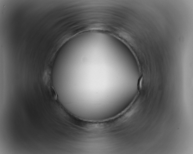 X0000089851369200707121710