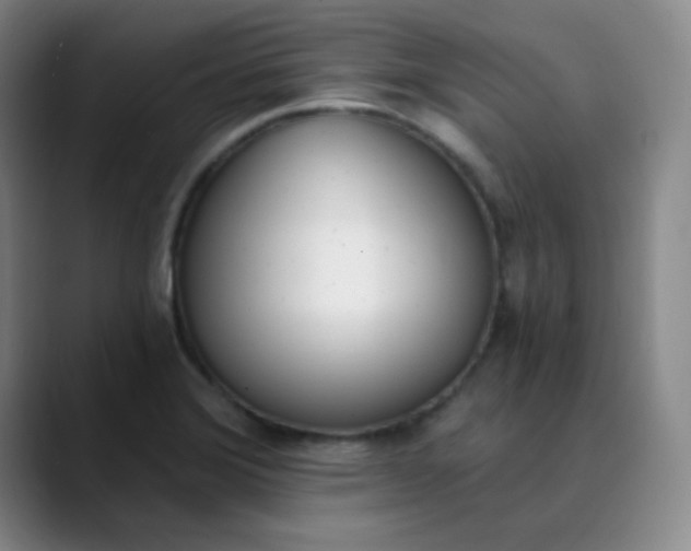X0000089851372200707121710