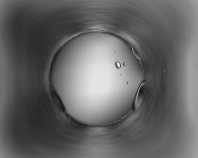 X0000089851373200707121710
