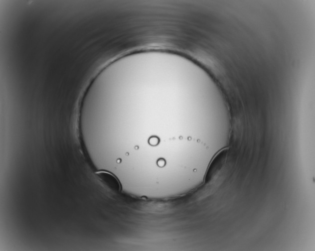 X0000089851374200707121710