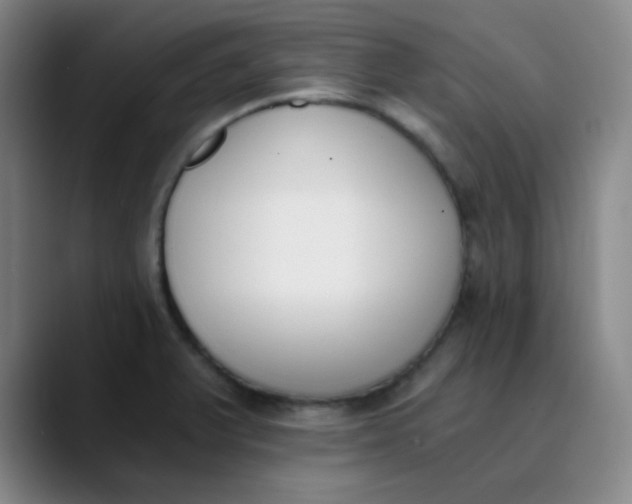 X0000089851375200707121710