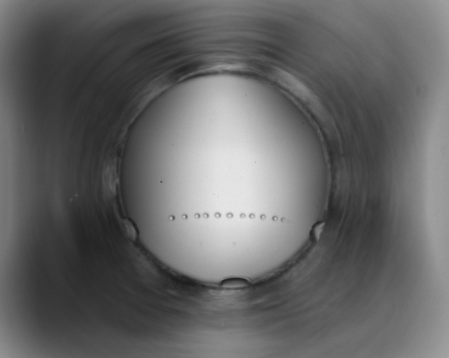 X0000089851377200707121710