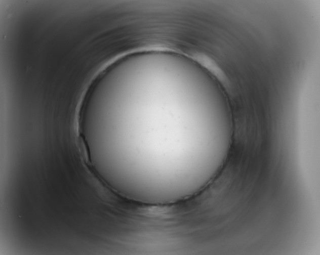 X0000089851380200707121710