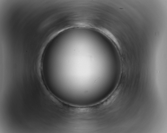 X0000089851381200707121710