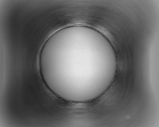 X0000089851382200707121710