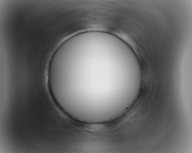 X0000089851383200707121710
