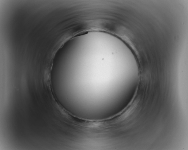 X0000089851385200707121710