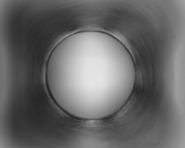 X0000089851390200707121710
