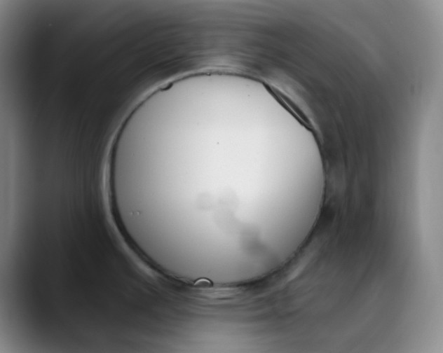 X0000089851391200707121710