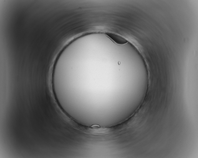X0000089851392200707121710