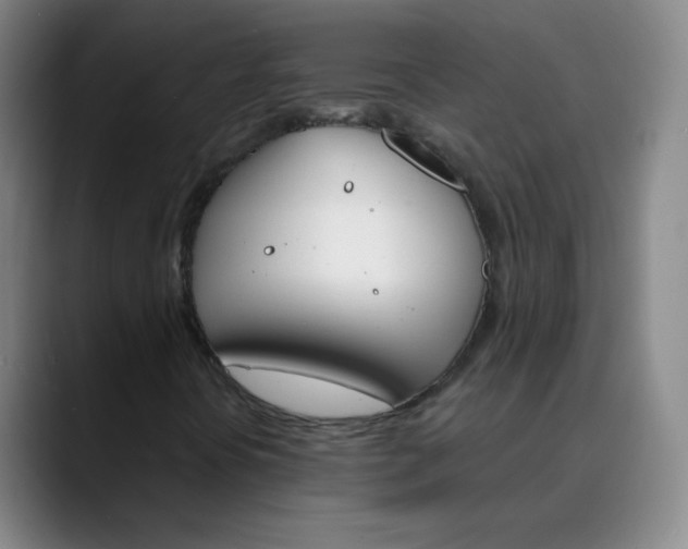 X0000089851394200707121709