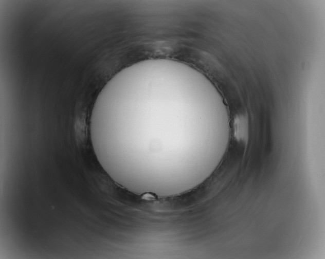 X0000089851395200707121709