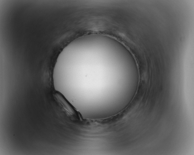 X0000089851398200707121709