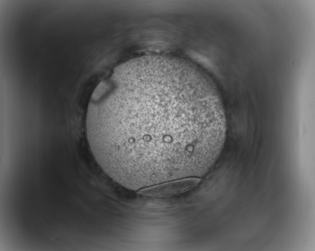 X0000089851399200707121709
